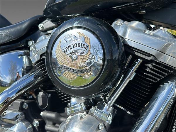 2021 harley-davidson FXST Softail Standard 107