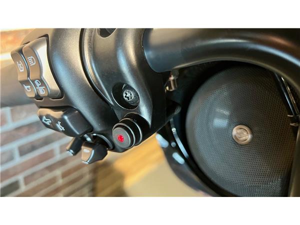 2021 harley-davidson FLHXS Street Glide Special 114