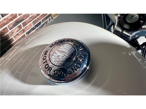 2018 HARLEY-DAVIDSON Sportster XL 883 L Sportster Super Low ABS
