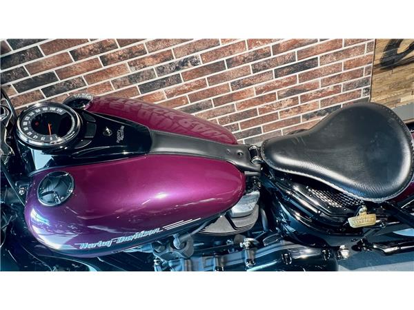 2018 harley-davidson FLSL Softail Slim 107 ABS