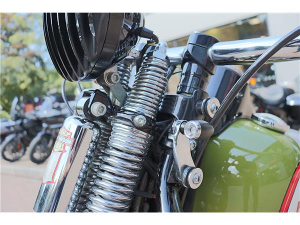 2008 HARLEY-DAVIDSON SOFTAIL FLSTSB CROSS BONES
