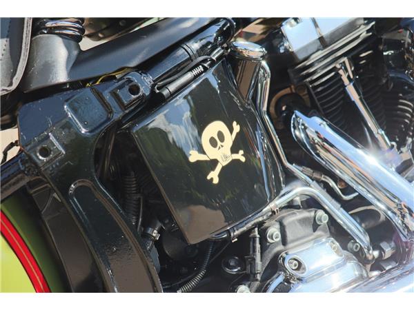 2008 HARLEY-DAVIDSON SOFTAIL FLSTSB CROSS BONES