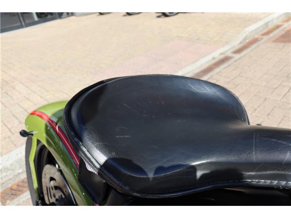 2008 HARLEY-DAVIDSON SOFTAIL FLSTSB CROSS BONES