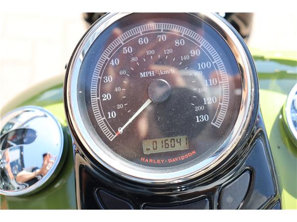 2008 HARLEY-DAVIDSON SOFTAIL FLSTSB CROSS BONES