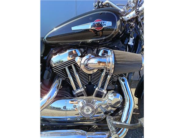 2014 Sportster 1200 Custom