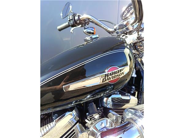 2014 Sportster 1200 Custom
