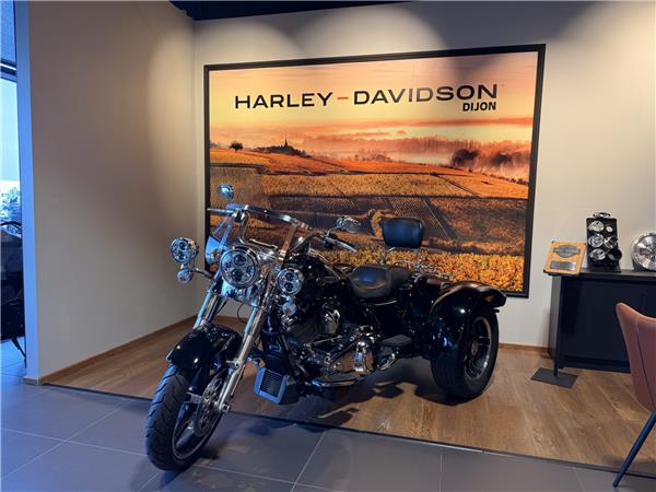 2021 HARLEY-DAVIDSON FREEWHEELER