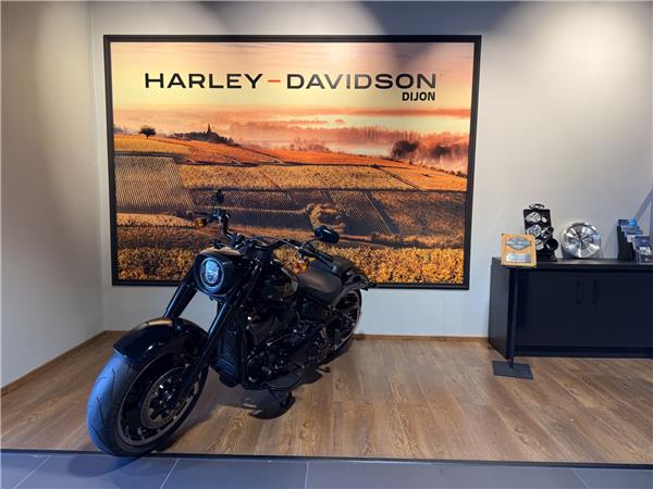 2020 HARLEY-DAVIDSON FAT BOY