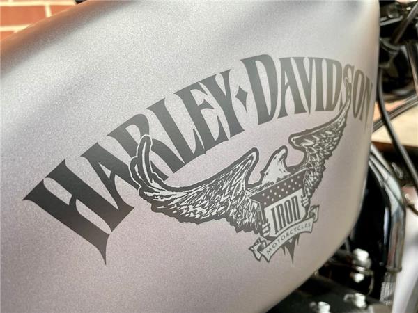 2017 HARLEY-DAVIDSON SPORTSTER XL883N IRON