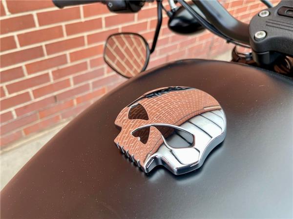 2017 HARLEY-DAVIDSON SPORTSTER XL883N IRON
