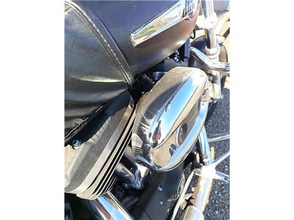 2014 Sportster 1200 Custom with H-D1 factory customization