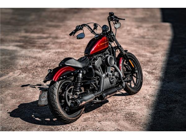 XL1200 Iron 