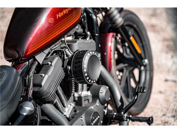 XL1200 Iron 