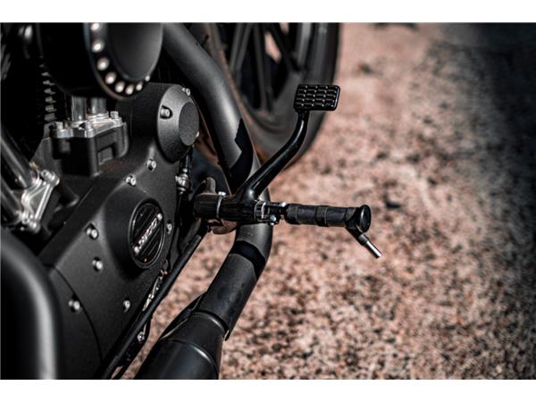 XL1200 Iron 