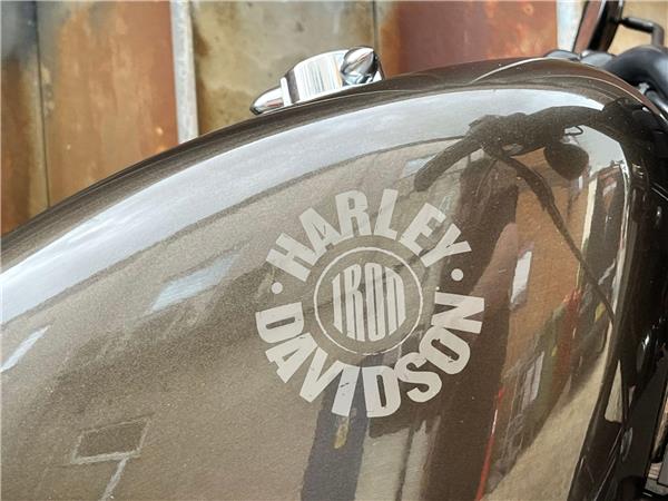 2020 Harley-Davidson Sportster