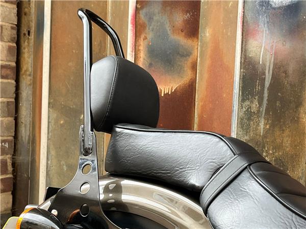 2020 Harley-Davidson Sportster