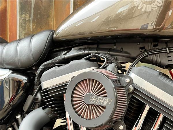 2020 Harley-Davidson Sportster