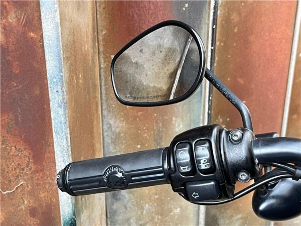 2020 Harley-Davidson Sportster