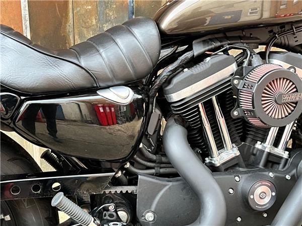 2020 Harley-Davidson Sportster