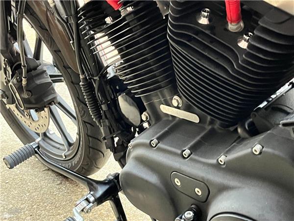 2020 Harley-Davidson Sportster