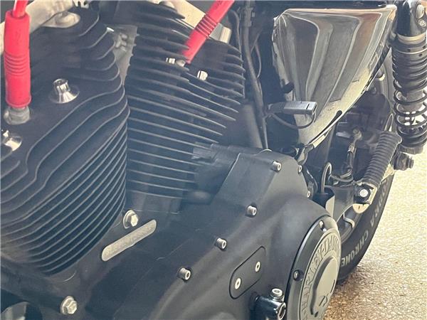 2020 Harley-Davidson Sportster