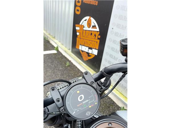 2024 HARLEY-DAVIDSON SPORTSTER 1250