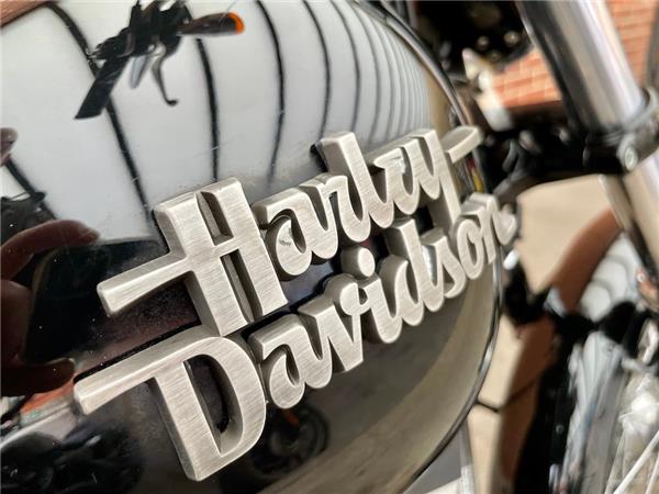 2016 HARLEY-DAVIDSON DYNA FXDB STREET BOB