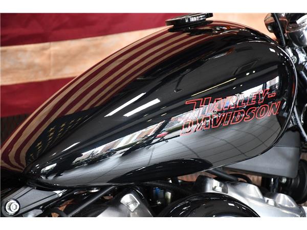 2024 HARLEY-DAVIDSON SOFTAIL STANDARD 