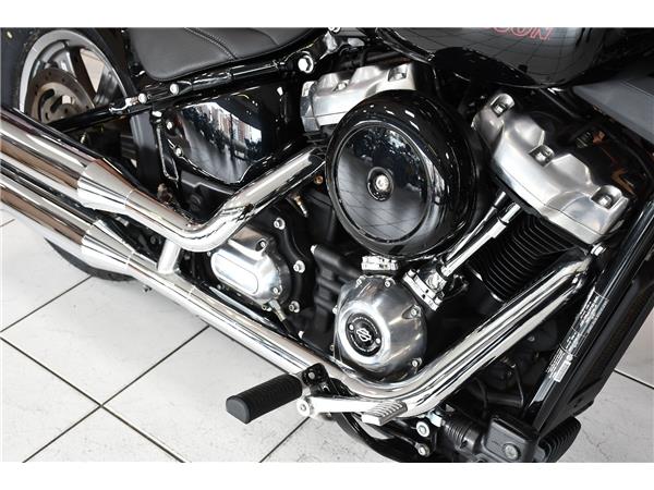 2024 HARLEY-DAVIDSON SOFTAIL STANDARD 