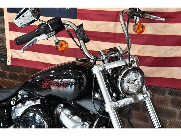 2024 HARLEY-DAVIDSON SOFTAIL STANDARD 