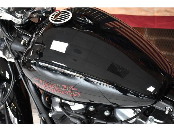 2024 HARLEY-DAVIDSON SOFTAIL STANDARD 