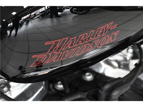 2024 HARLEY-DAVIDSON SOFTAIL STANDARD 