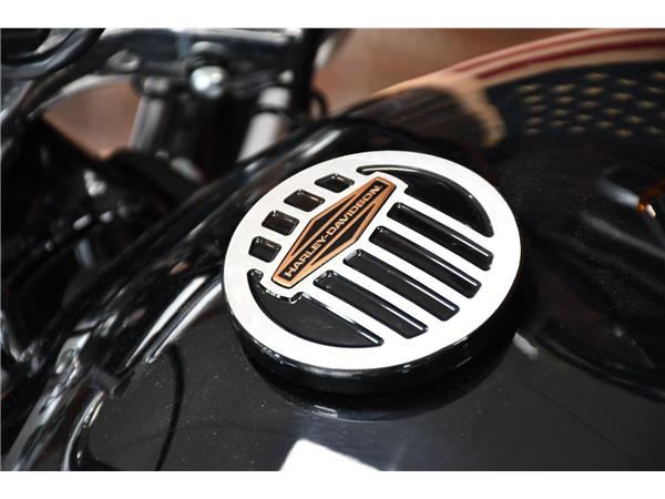2024 HARLEY-DAVIDSON SOFTAIL STANDARD 