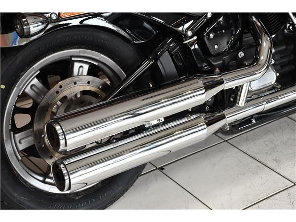 2024 HARLEY-DAVIDSON SOFTAIL STANDARD 