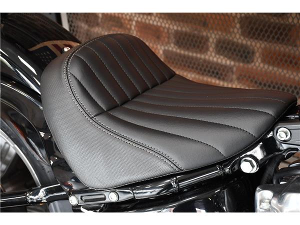 2024 HARLEY-DAVIDSON SOFTAIL STANDARD 