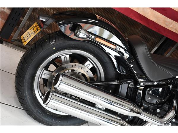 2024 HARLEY-DAVIDSON SOFTAIL STANDARD 