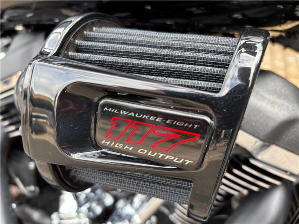 2025 HARLEY-DAVIDSON SOFTAIL FXLRS LOW RIDER S