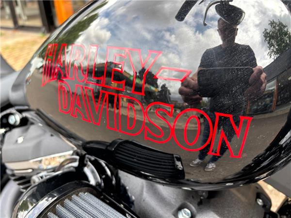 2025 HARLEY-DAVIDSON SOFTAIL FXLRS LOW RIDER S