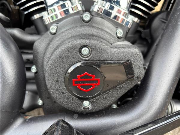 2025 HARLEY-DAVIDSON SOFTAIL FXLRS LOW RIDER S