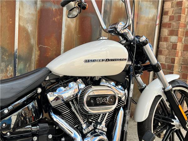 2019 Harley-Davidson Softail