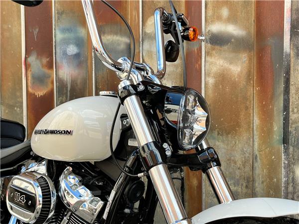 2019 Harley-Davidson Softail