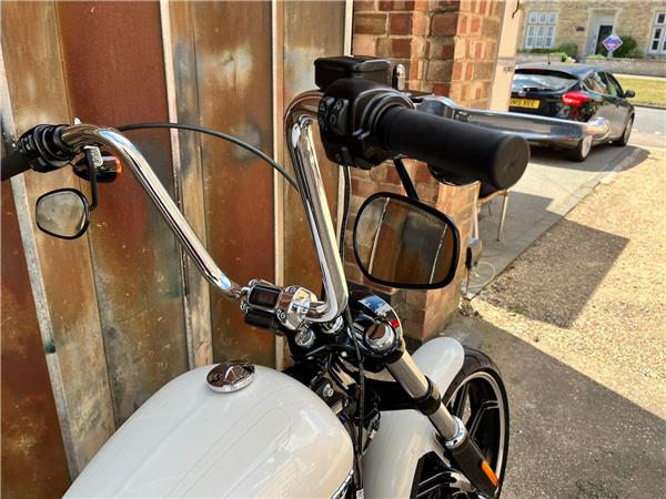2019 Harley-Davidson Softail