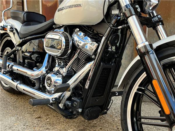 2019 Harley-Davidson Softail