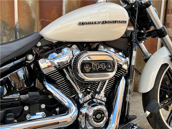 2019 Harley-Davidson Softail