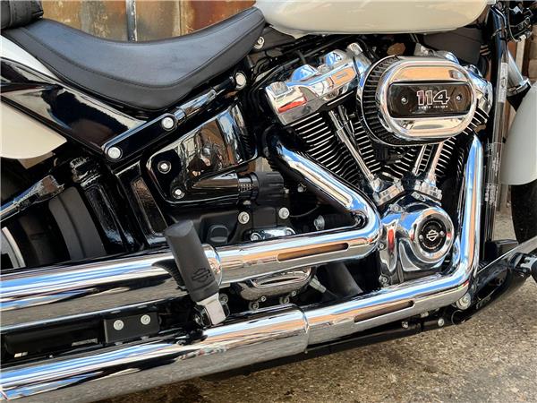 2019 Harley-Davidson Softail