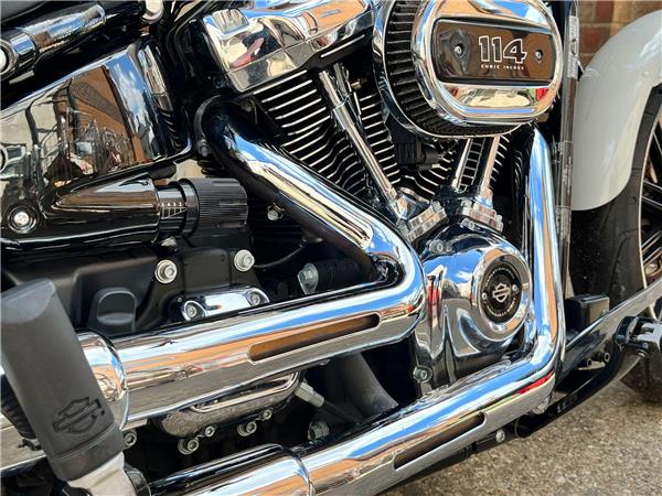 2019 Harley-Davidson Softail