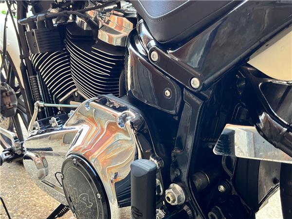 2019 Harley-Davidson Softail