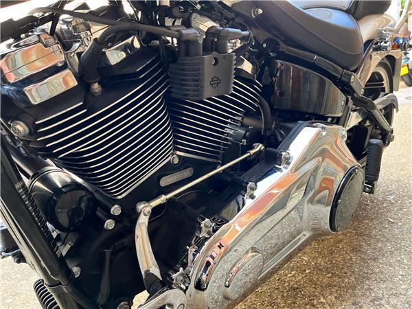 2019 Harley-Davidson Softail