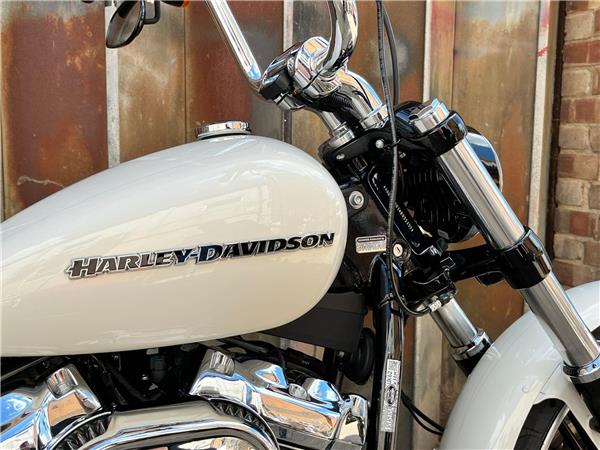 2019 Harley-Davidson Softail