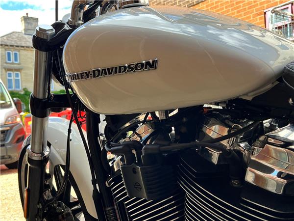 2019 Harley-Davidson Softail